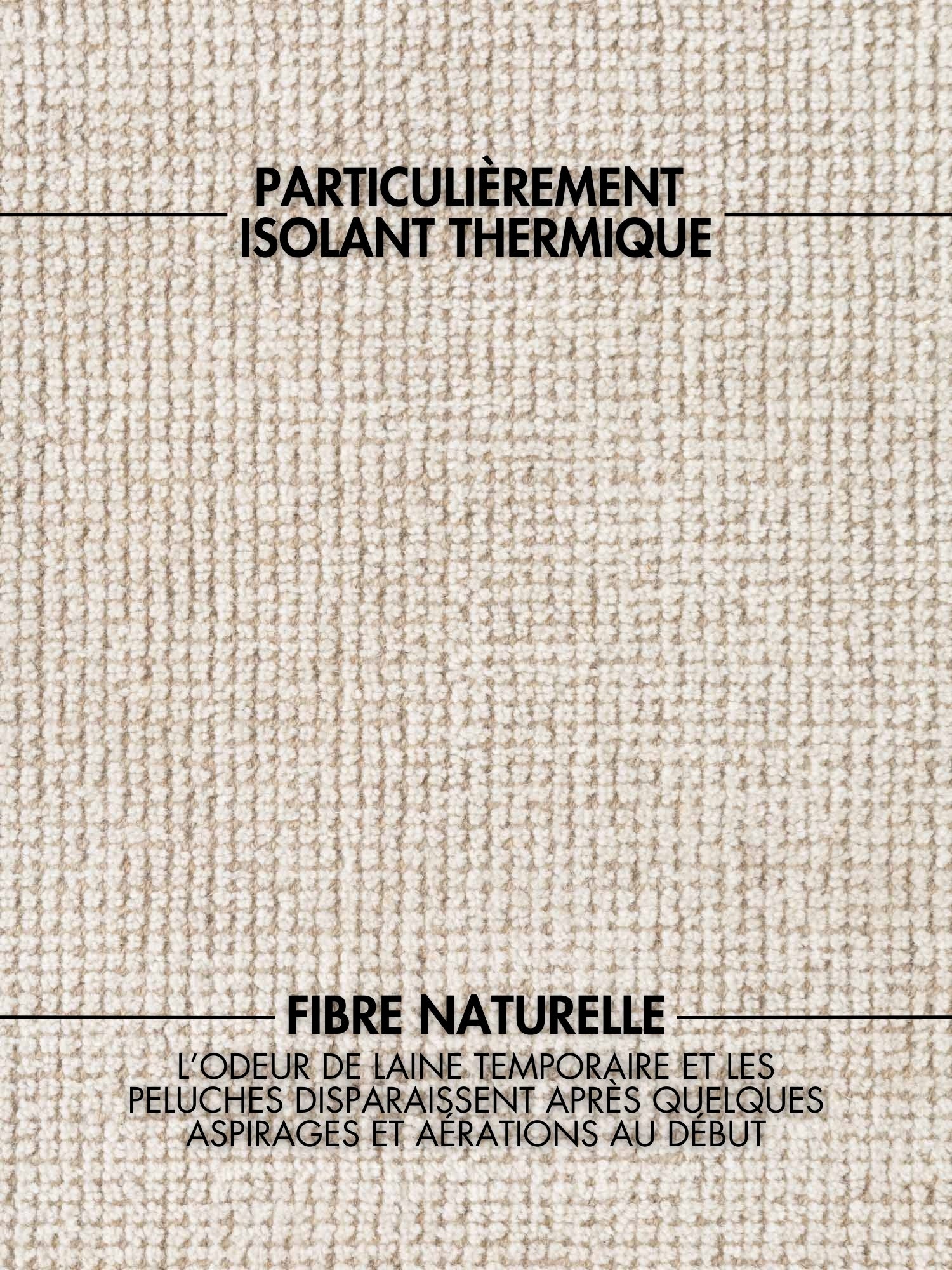 Tapis fait main épais en laine Ivoire - Ted Baker