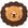 Lion Brun
