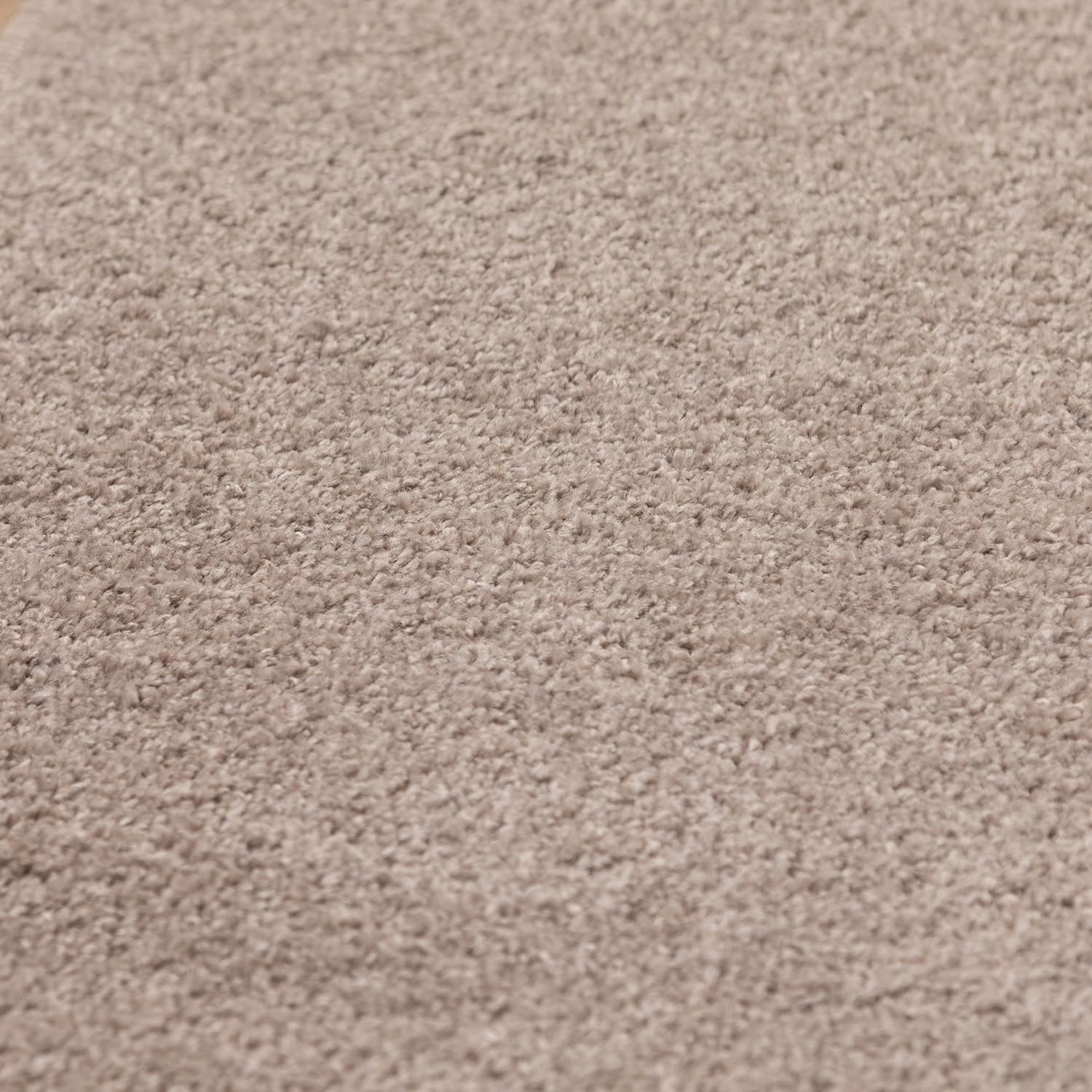 Tapis Uni à poils courts - Beige – STUDIO DECO