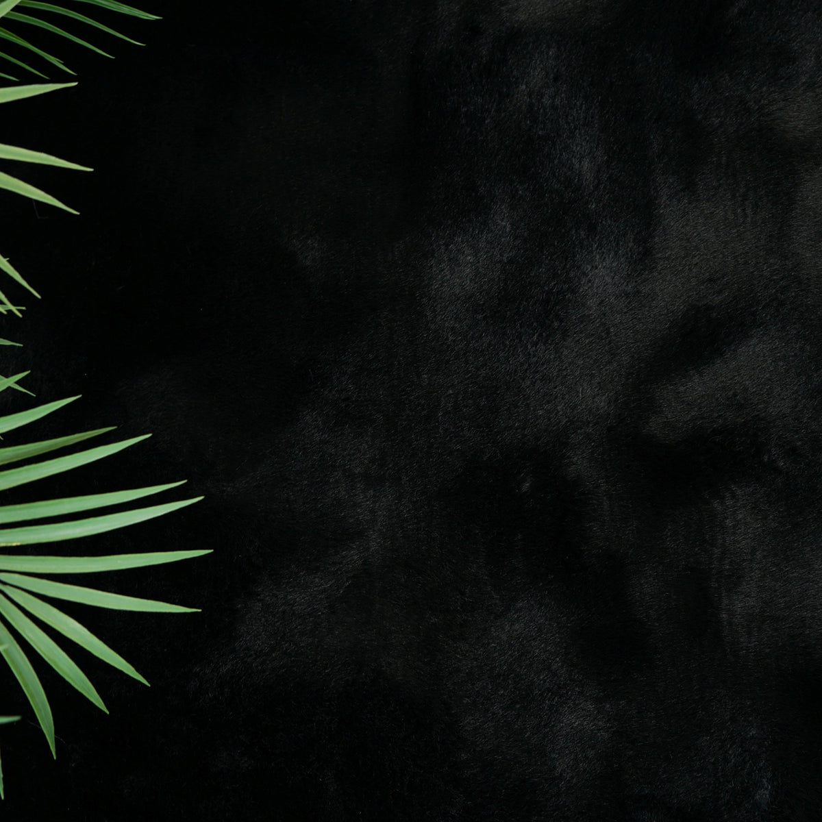 Tapis à poils long ultra-doux Noir