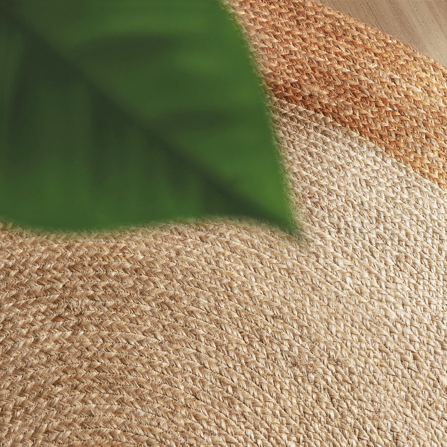 Tapis Jute Fait Main Bicolore Ivoire et Beige – STUDIO DECO