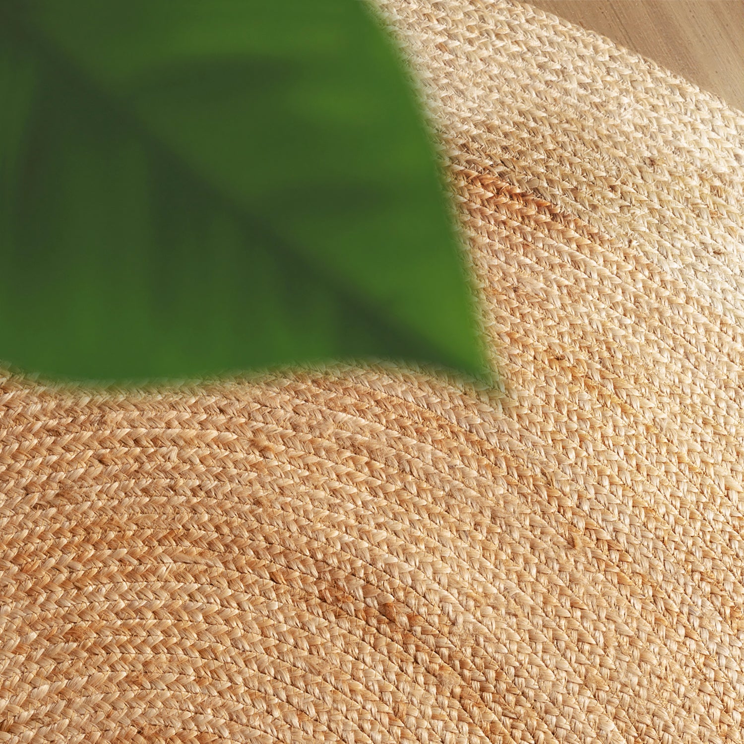 Tapis Jute Fait Main Bicolore Beige et Crème – STUDIO DECO